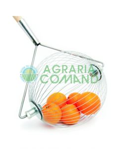 Collector_roll_in_extra_large Collector_roll_in_extra_large