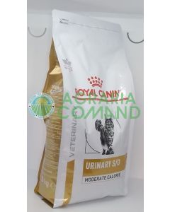 Calorías moderadas felino-urinarias