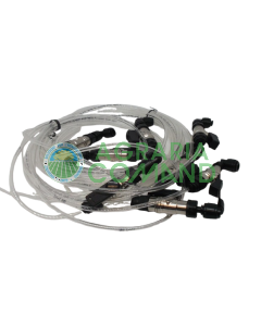 Set raccordi per endoterapia per aghi da 4 mm Difesa Ambientale