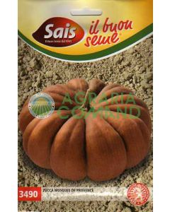 Calabaza Musquée de Provence