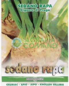 APIONABO GIGANTE DE PRAGA APIONABO GIGANTE DE PRAGA