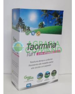 Semillas de césped Taormina