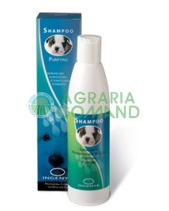 INGENYA CHAMPÚ DESINFECTANTE ML.250