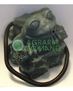 Estatua de la rana de ojos grandes