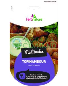 Tubérculo de semilla de pataca Tubérculo de semilla de pataca