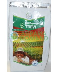 R6 TREVI BAYER KG.1 R6 TREVI BAYER KG.1