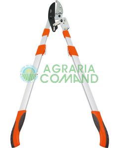 Tijeras telescópicas de carraca