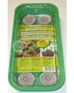 MINISERRA CON LIMPIADORES DE COCO FIBRA (10 obleas)