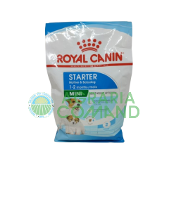 Mini Starter Mother & Babydog kg 1 croqueta Royal Canin