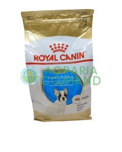 Bulldog Francés Cachorro 3 kg
