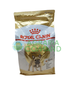 Bulldog francés > 12 meses