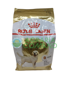 Labrador Retriever ADULT Croquetas kg 3 Royal Canin