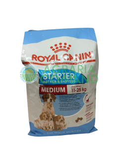 Medium STARTER MOTHER & BABY DOG Croquetas kg 4 Royal Canin
