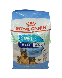 Maxi STARTER MOTHER & BABY DOG Croquetas kg 4 Royal Canin