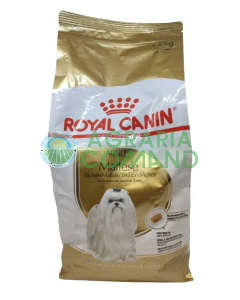 Croquetas maltesas ADULTOS kg 1,5 Royal Canin