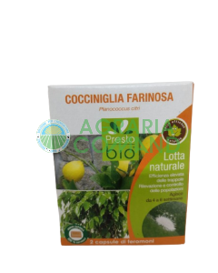 Cápsulas de feromonas contra la cochinilla harinosa