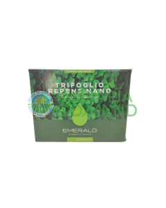 Semillas de Césped TRIFOGLIO REPENS NANO TurfInnovation 500 g