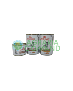 GASTROINTESTINAL Perro Royal Canin