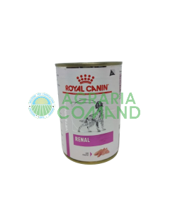 lata renal royal dog