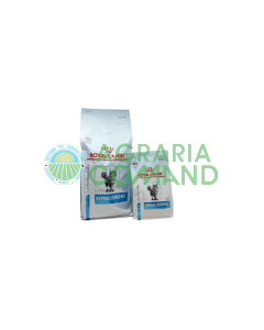 Croquetas HIPOALERGÉNICAS para gatos Royal Canin