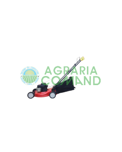 cortacésped de gasolina mtd