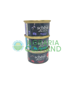 schesir after dark 80 gr gato