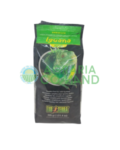 iguana adulta exo terra