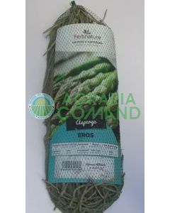 Piernas de espárrago verde Eros