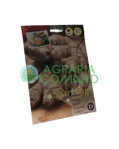 Raíz de jengibre de semilla