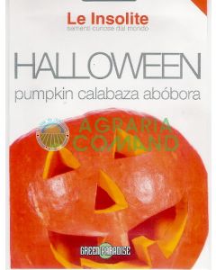 CALABAZA DE HALLOWEEN