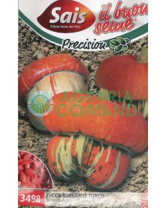 Calabaza turca con turbante Calabaza turca con turbante