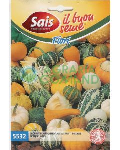 Mezcla de calabazas ornamentales de fruto pequeño