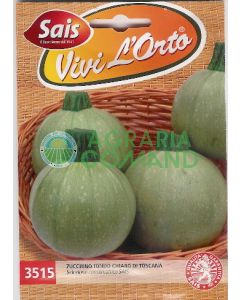 CALABACÍN REDONDO TOSCANO CALABACÍN REDONDO TOSCANO