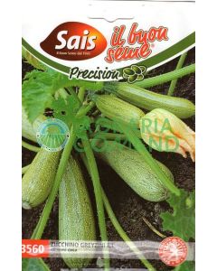 Calabacín híbrido Greyzini Calabacín híbrido Greyzini