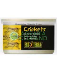 GRILLOS 34 G / 1.2 ONZA - GRILLOS