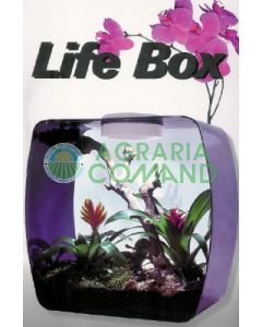CAJA DE VIDA MORADA CON LUCES