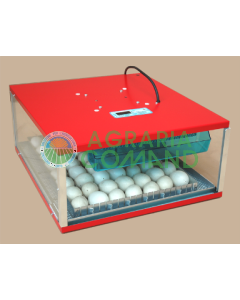 INCUBADORA DE POLLOS BRAHMA 50