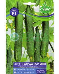 Pepino Tasty Green