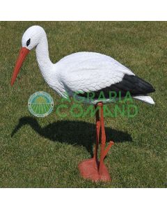 Cigüeña ornamental