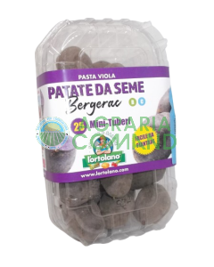 patata de siembra bergerac