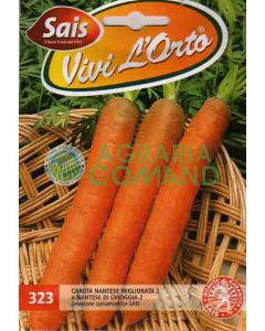 ZANAHORIA NANTESA MEJORADA 2 o NANTESE DI CHIOGGIA 2 gr.50