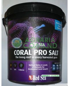 Cubo de sal Coral Pro