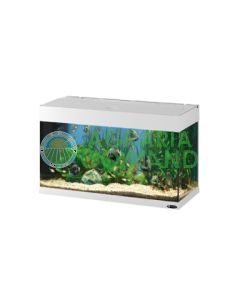 ACUARIO DUBAI 80 BLANCO