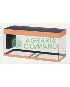 ACUARIO DUBAI 100 HAYA