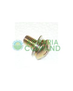 TORNILLO ARANDELA CABEZA INICIO RICAMBO