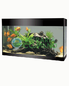 ASKOLL PURE ABSOLUTE NEGRO L ACUARIO LT.68