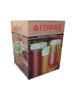 Kit 2 cubos de cerveza