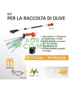 Kit de recolección de aceitunas Stocker