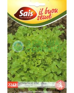 Ensaladera de lechuga