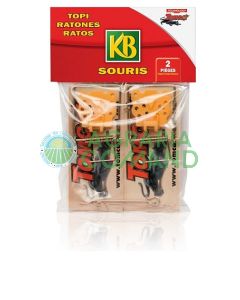 spring_wood_trap